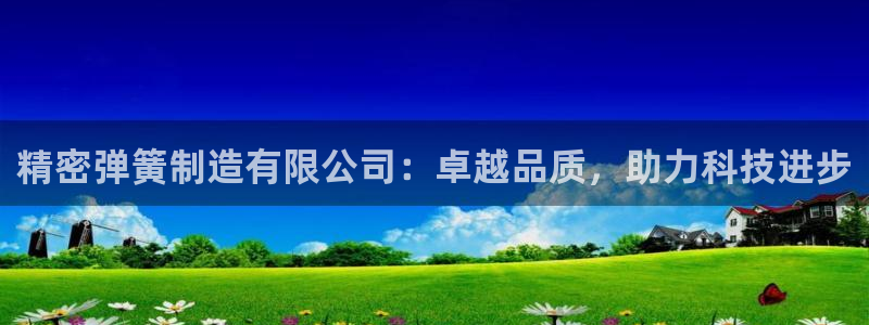 彩神ix官网是哪个公司的