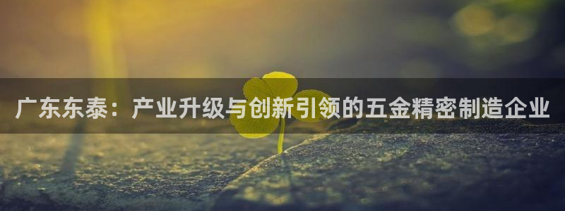 彩神8官网版是正规的吗：广东东泰：产业升级与创新引领的五金精密制造企业