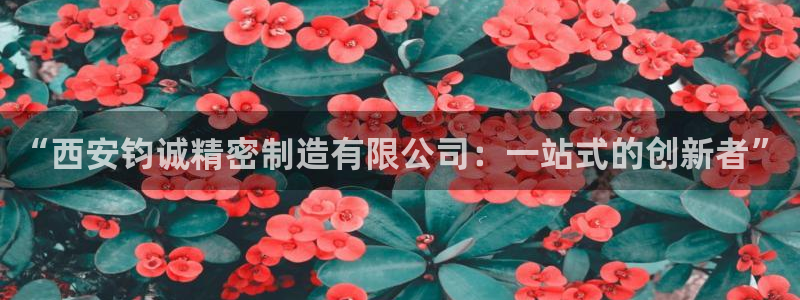 彩神v8平台正规吗可靠吗