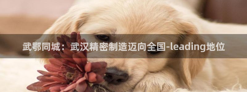 彩神V3大赢家：武鄂同城：武汉精密制造迈向全国-leading地位