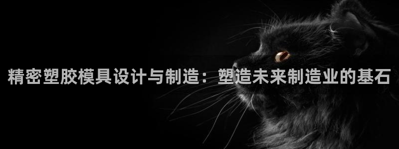 天天赢彩神：精密塑胶模具设计与制造：塑造未来制造业的基石