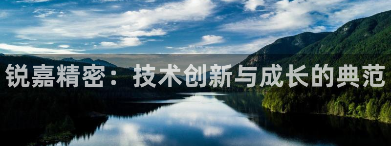 彩神vip购彩大厅下载：锐嘉精密：技术创新与成长的典范