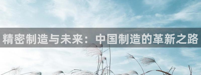 彩神输的钱是赌博还是诈骗