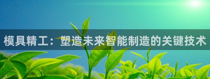 天天赢彩神：模具精工：塑造未来智能制造的关键技术
