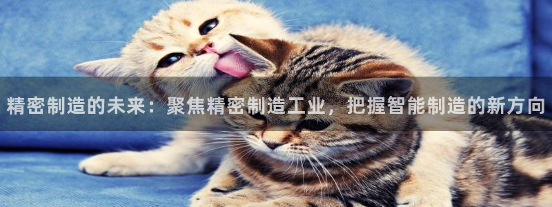 彩神v大众娱乐：精密