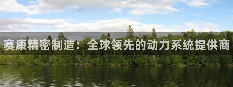 彩神vl购彩大厅：赛康精密制造：全球领先的动力系统提供商