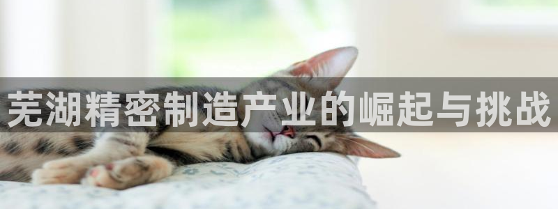 彩神vlll(中国)百度百科：芜湖精密制造产业的崛起与挑战