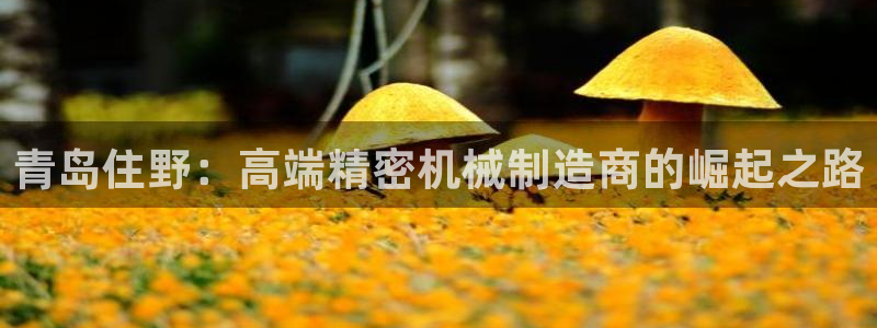 彩神v8下载app5