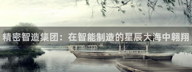 彩神大发黑平台：精密智造集团：在智能制造的星辰大海中翱翔
