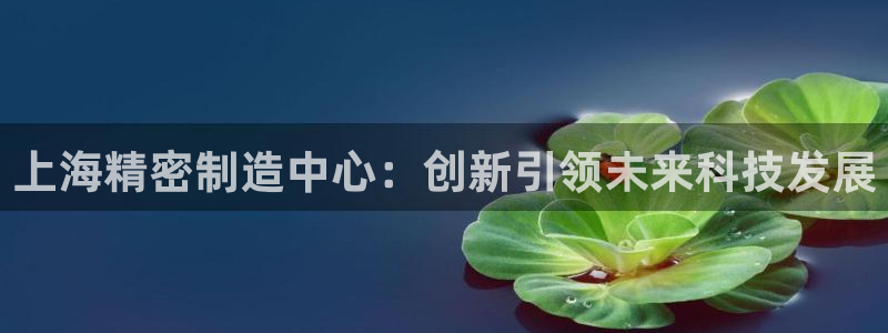 彩神争霸官方下载2017：上海精密制造中心：创新引领未来科技发展