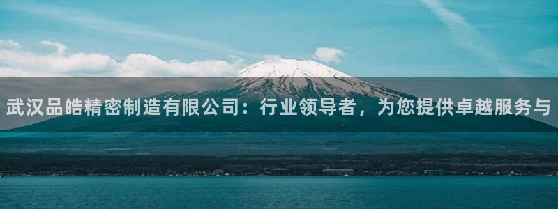 彩神vll首页环球：武汉品皓精密制造有限公司：行业领导者，为您提供卓越服务与