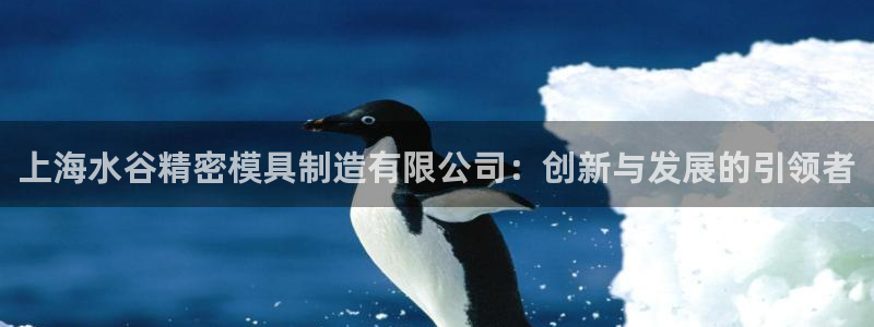大发彩神争：上海水谷精密模具制造有限公司：创新与发展的引领者