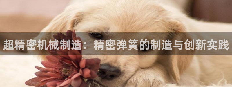 彩神v集团有限公司：超精密机械制造：精密弹簧的制造与创新实践