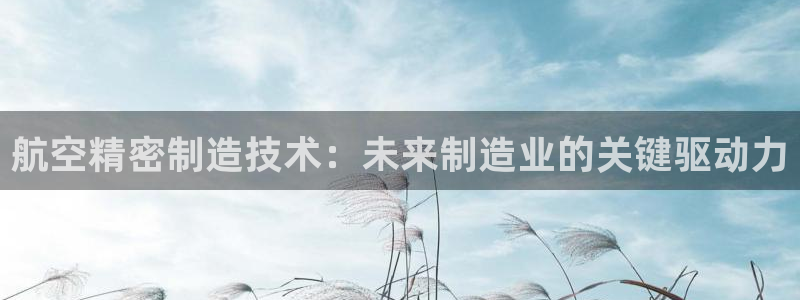 彩神是正规平台吗是真的吗：航空精密制造技术：未来制造业的关键驱动力