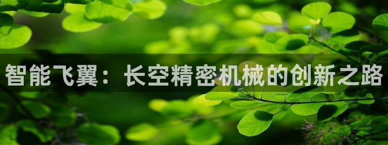 彩神vlll官方网：智能飞翼：长空精密机械的创新之路