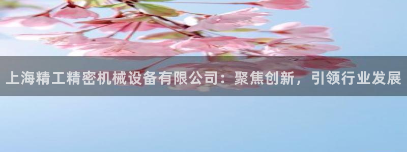 彩神团队是真的吗：上海精工精密机械设备有限公司：聚焦创新，引领行业发展