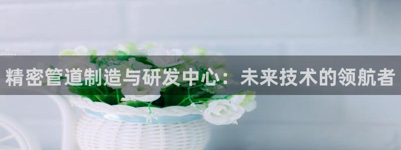 彩神8是正规平台吗安全吗：精密管道制造与研发中心：未来技术的领航者