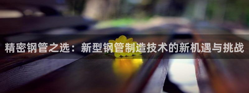 彩神v争霸是啥：精密钢管之选：新型钢管制造技术的新机遇与挑战