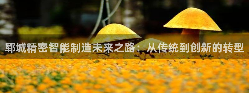 彩神争霸官方下载：郓城精密智能制造未来之路：从传统到创新的转型