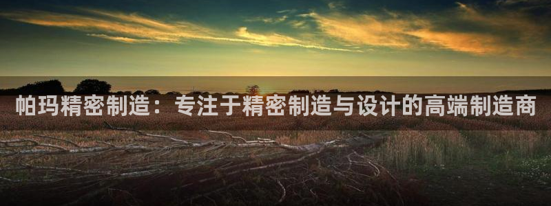 下载彩神通关注码：帕玛精密制造：专注于精密制造与设计的高端制造商