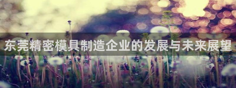 彩神x平台靠什么盈利：东莞精密模具制造企业的发展与未来展望