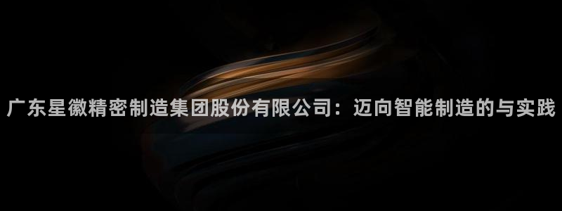彩神官方登录：广东星徽精密制造集团股份有限公司：迈向智能制造的与实践