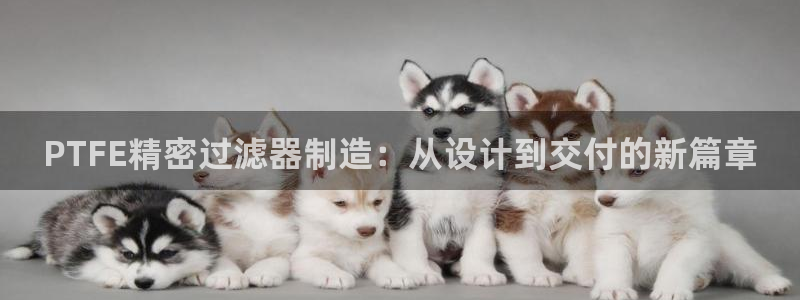 彩神v彩搜狗