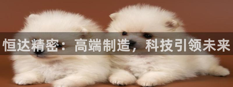 彩神赢钱了吗
