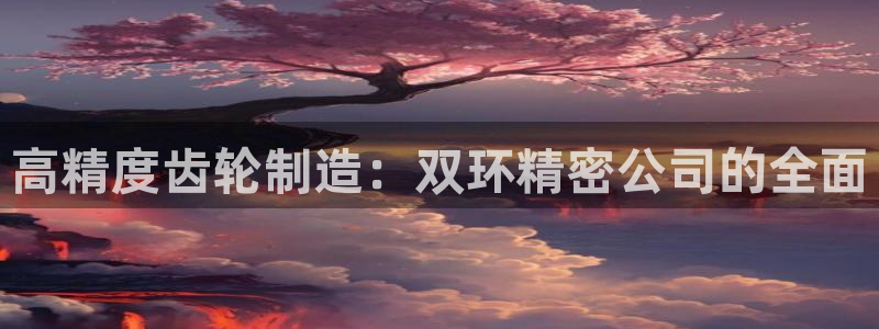 新版彩神v8登录不上去：高精度齿轮制造：双环精密公司的全面