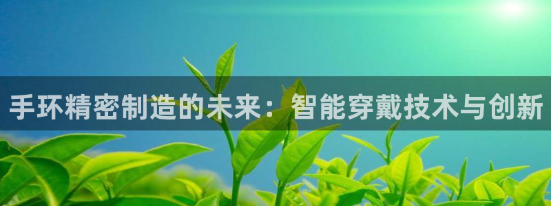 彩神viii官网：手环精密制造的未来：智能穿戴技术与创新