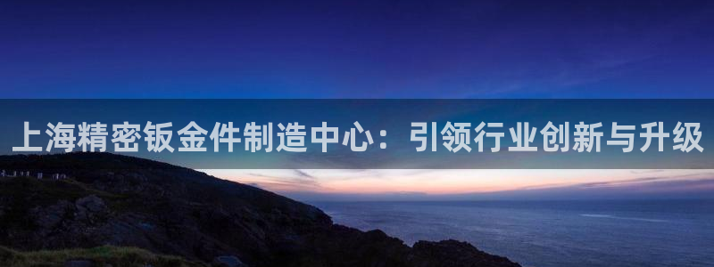 彩神赢了钱登录不上去：上海精密钣金件制造中心：引领行业创新与升级