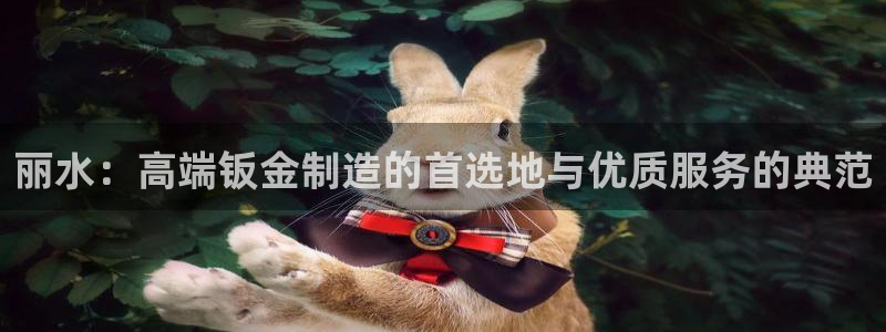 彩神这个平台是真的吗：丽水：高端钣金制造的首选地与优质服务的典范