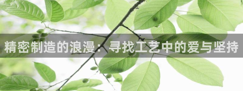 彩神盈利图片：精密制造的浪漫：寻找工艺中的爱与坚持