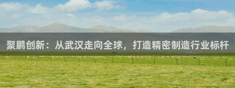 彩神8软件下载：聚鹏创新：从武汉走向全球，打造精密制造行业标杆