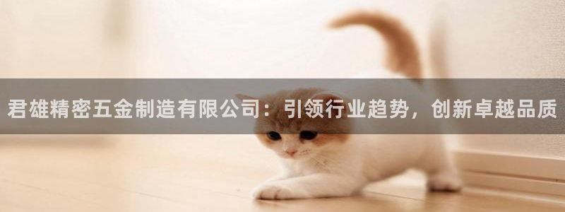 彩神8官网合法吗：君雄精密五金制造有限公司：引领行业趋势，创新卓越品质