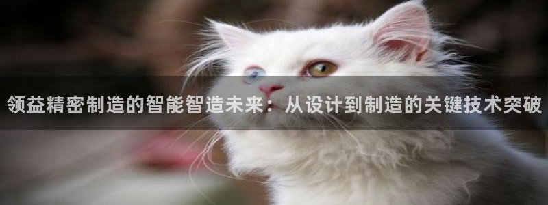 彩神v8手机客户端：领益精密制造的智能智造未来：从设计到制造的关键技术突破
