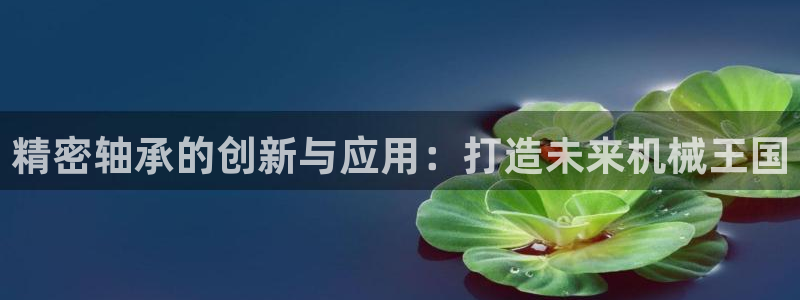 彩神v8有多久了?靠谱吗：精密轴承的创新与应用：打造未来机械王国