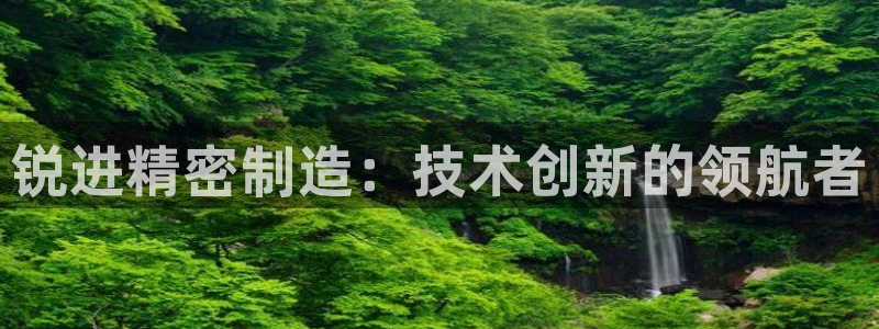 彩神购彩-购彩大厅入口36fr：锐进精密制造：技术创新的领航者