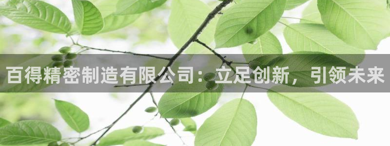彩神赢钱了吗：百得精密制造有限公司：立足创新，引领未来