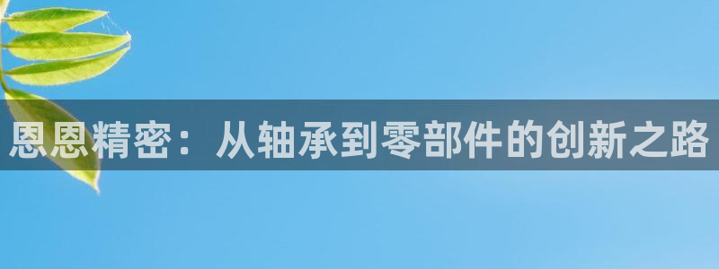 彩神平台：恩恩精密：从轴承到零部件的创新之路