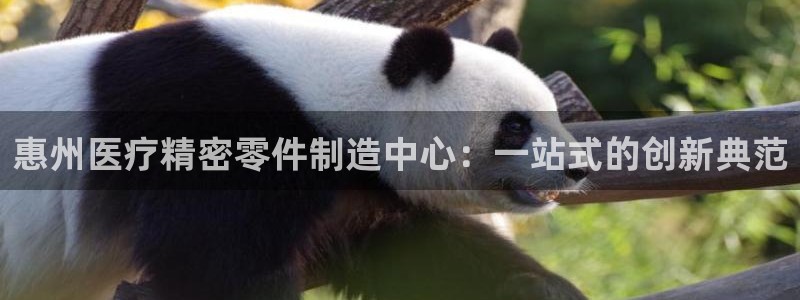 彩神8最新版下载：惠州医疗精密零件制造中心：一站式的创新典范