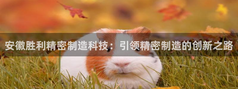 彩神v天天