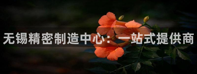 彩神平台是什么套路