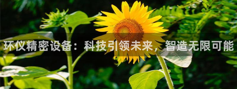 彩神xapp官方网站：环仪精密设备：科技引领未来，智造无限可能