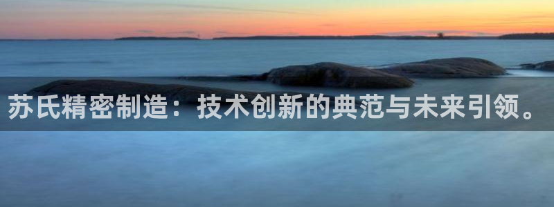 彩神v8购彩大厅登：苏氏精密制造：技术创新的典范与未来引领。