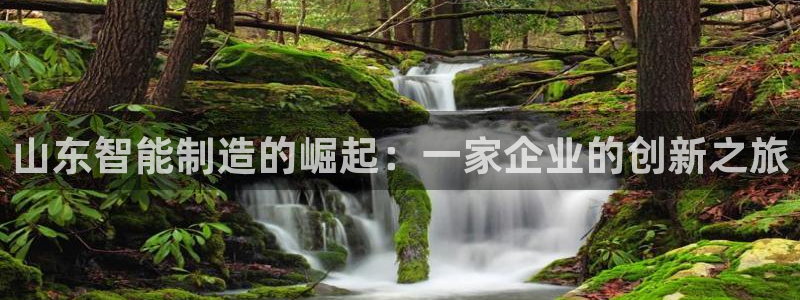 彩神vll购彩大厅大众：山东智能制造的崛起：一家企业的创新之旅