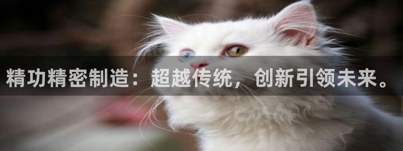 彩神vip官方网站：精功精密制造：超越传统，创新引领未来。