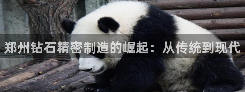 彩神是什么平台：郑州钻石精密制造的崛起：从传统到现代