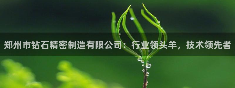 彩神v8手机客户端在哪：郑州市钻石精密制造有限公司：行业领头羊，技术领先者