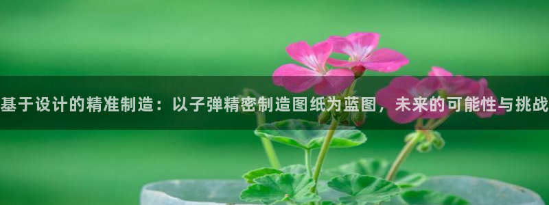 彩神8购彩-购彩大厅：基于设计的精准制造：以子弹精密制造图纸为蓝图，未来的可能性与挑战